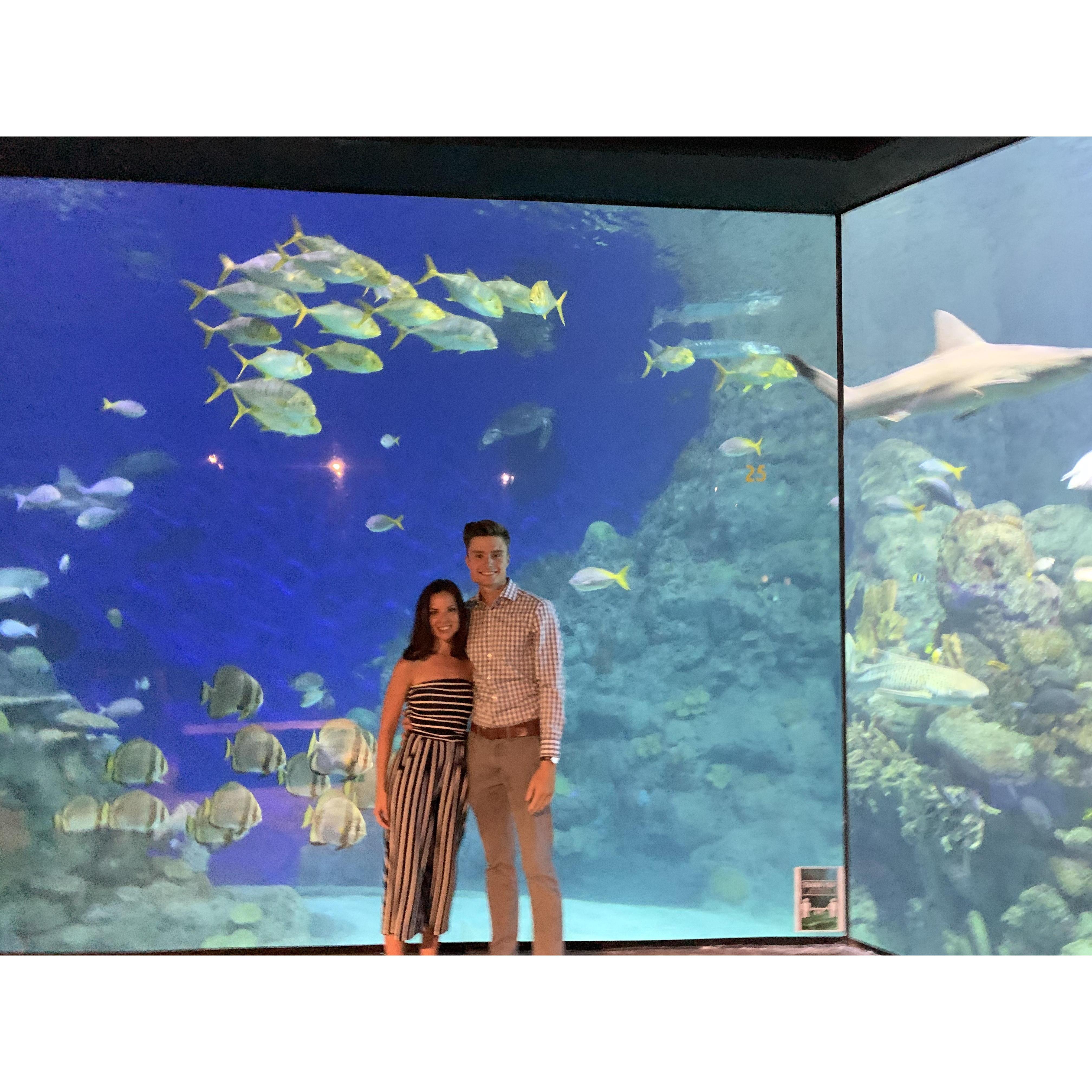 Denver aquarium date
