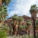 Indian Canyons