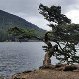 Cascade Lake Hike