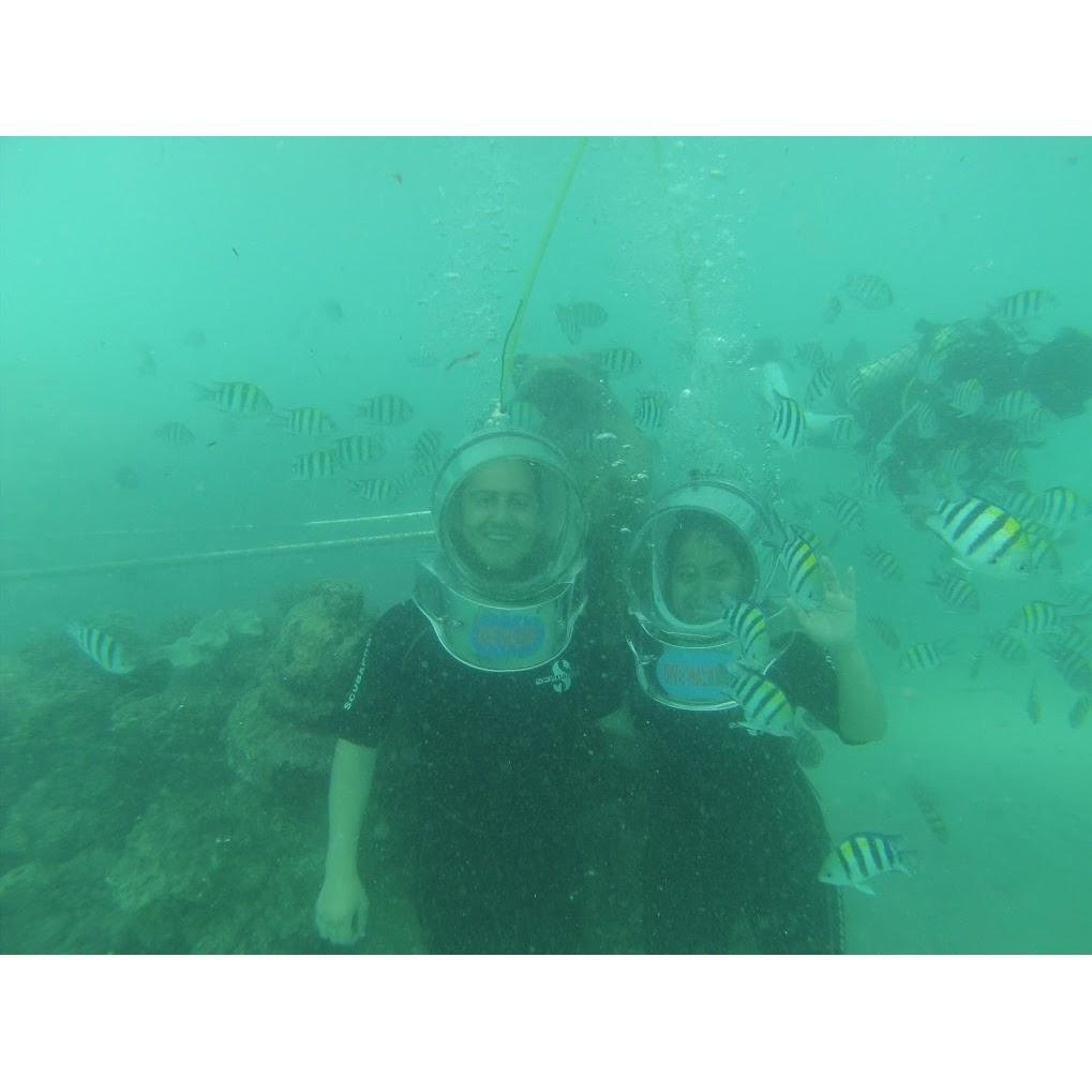Underwater adventures in Hawaii