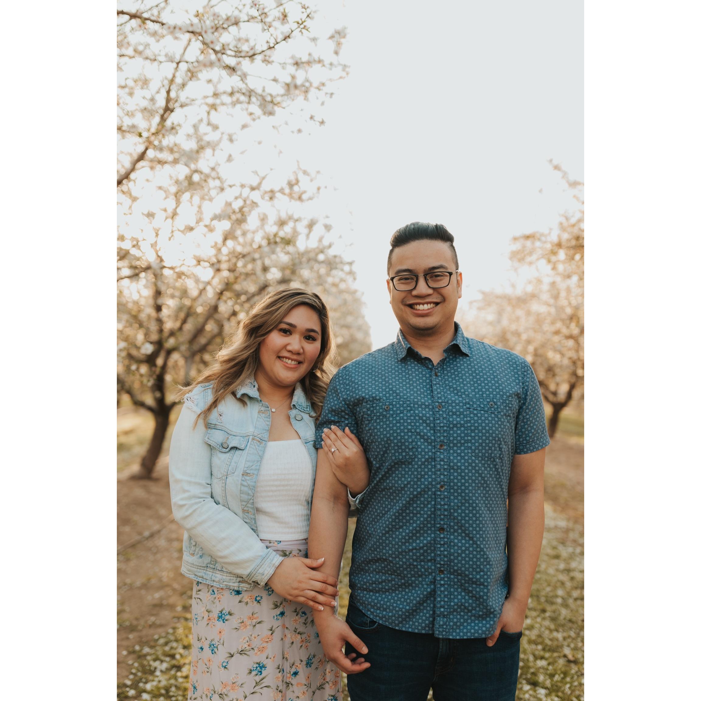 Almond Orchard — Modesto, CA