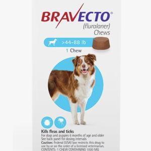 Bravecto Flea and Tick Medication 3 Month Supply for Maya