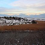 Norman Bird Sanctuary