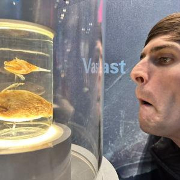 Help me take Adam on a honeymoon date