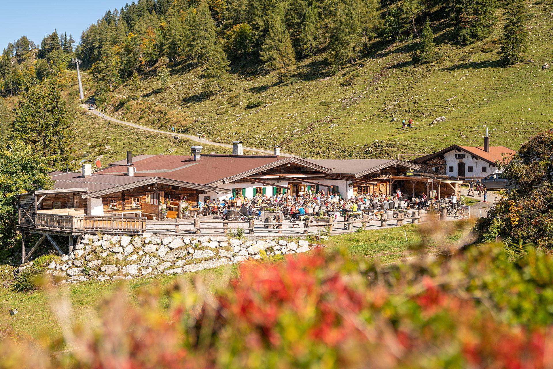 The Wedding Website of Cece Weber and Matthew Dulcamara