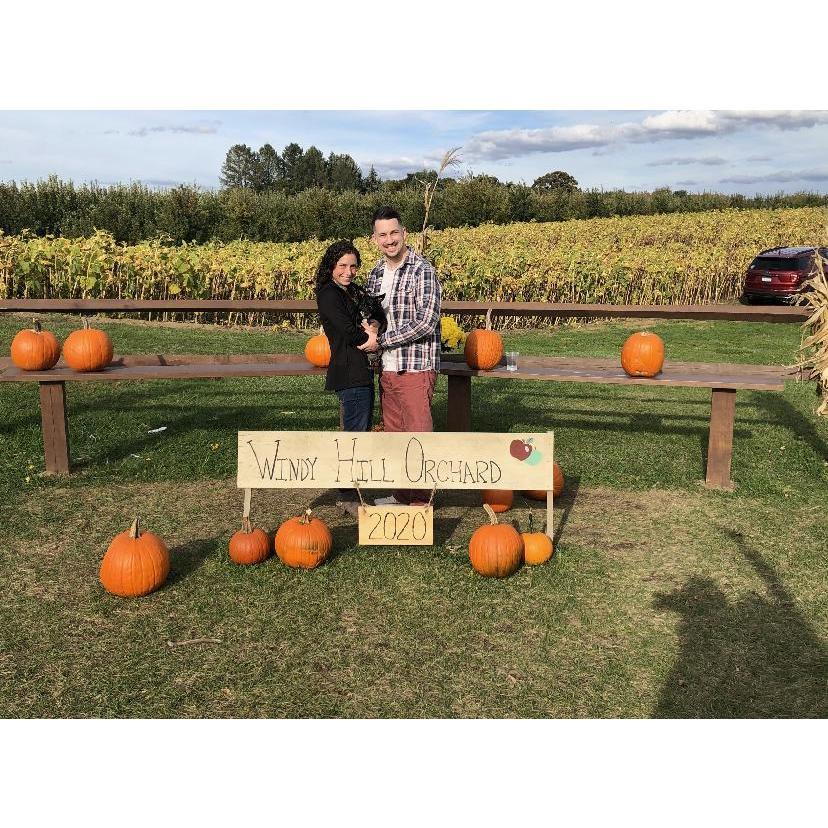 Windy Hill Orchard, 2020