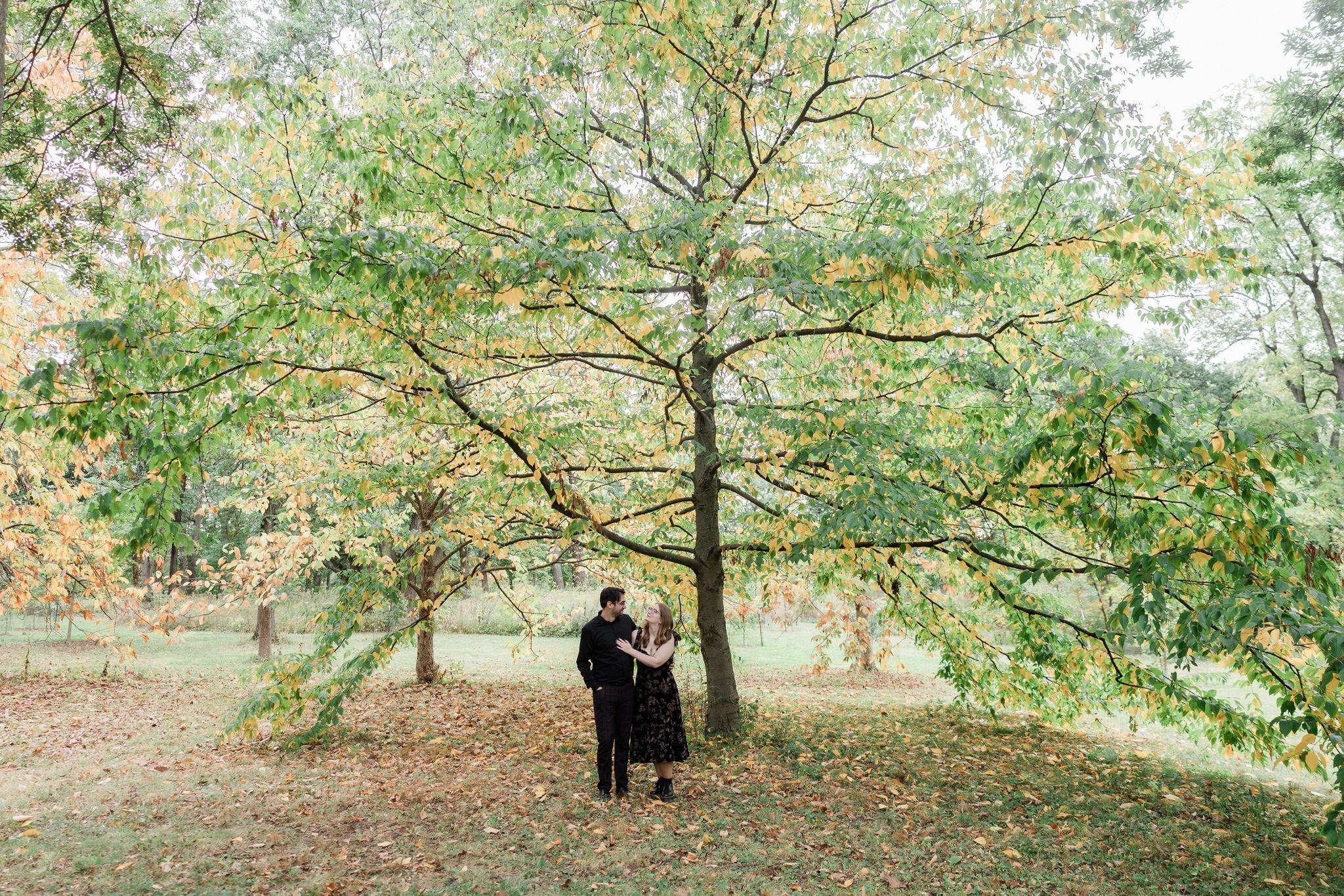 70088a65-9c9d-4846-ad16-aabfee0bd19c