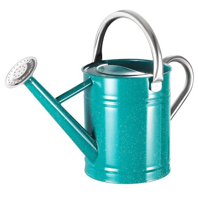 1 Gallon Watering Can for Outdoor and Indoor Plants，Premium Galvanized Steel Gardening Watering Can with Stainless Steel Handles，Metal Flower Watering Can with Removable Sprinkler Head，Speckled Green