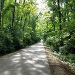 B&O Trail