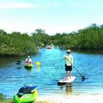 Kayak Jacks Paddle Sports