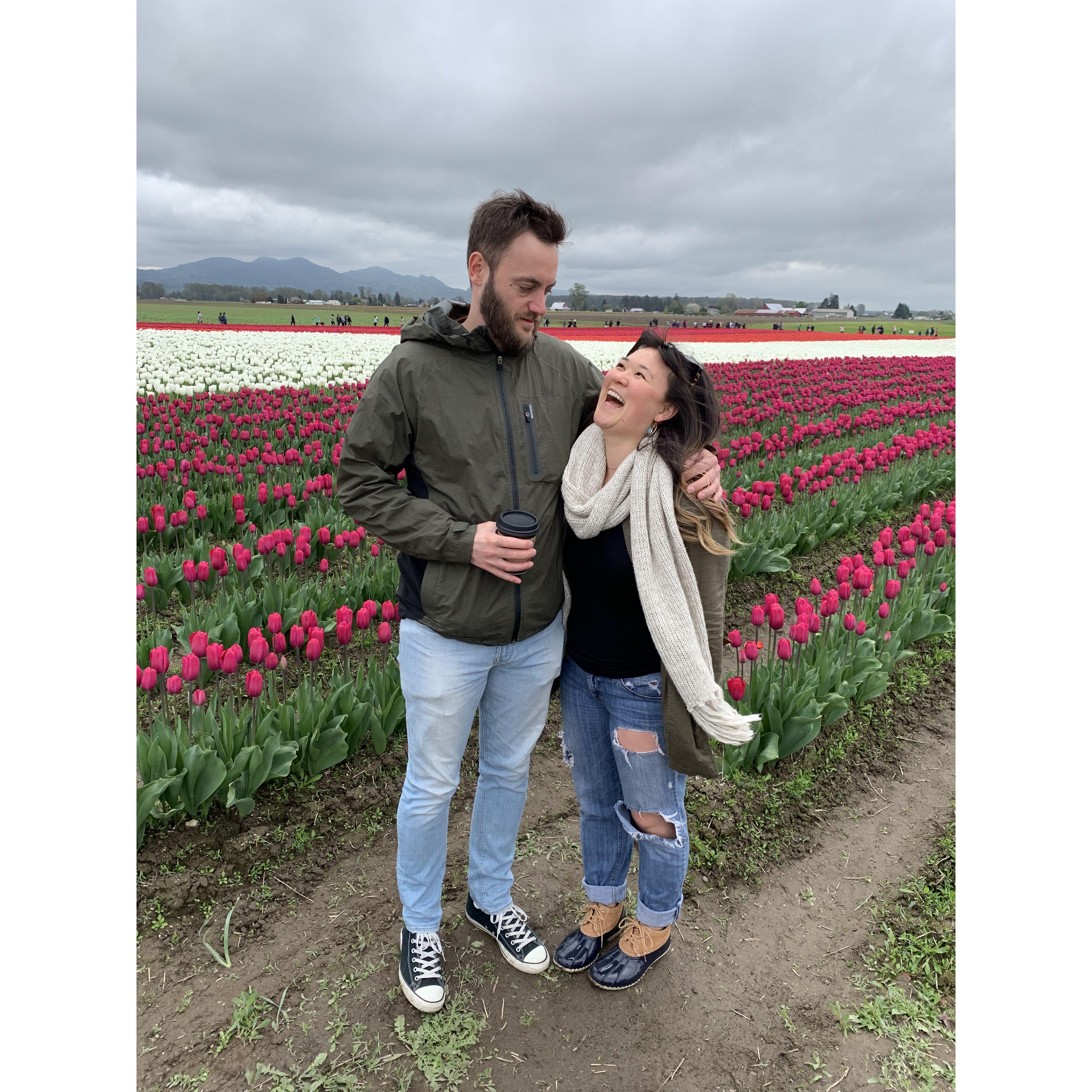 When you figured out what you were in for! Tulips in Mt. Vernon, Seattle