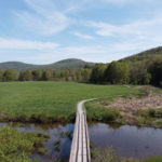 The Windham Path