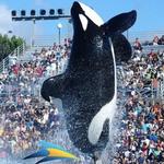 SeaWorld Orlando