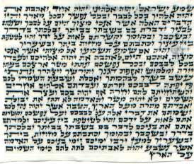 KOSHER SCROLL (KLAF)