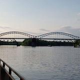 Harbor Park