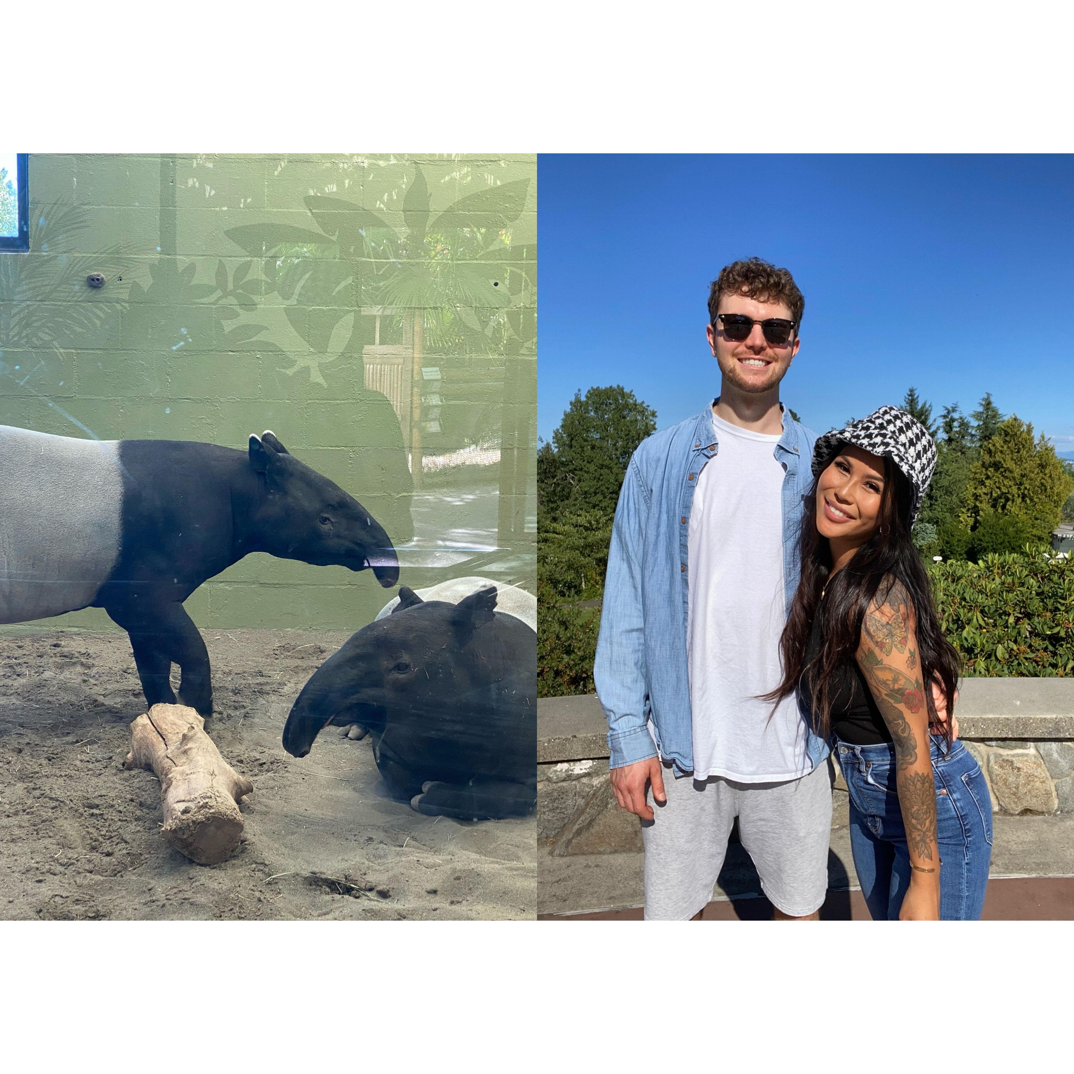 Our first adventure together at the Tacoma Zoo! 🦁 These two guys look like us!
