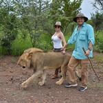 Lion Encounter