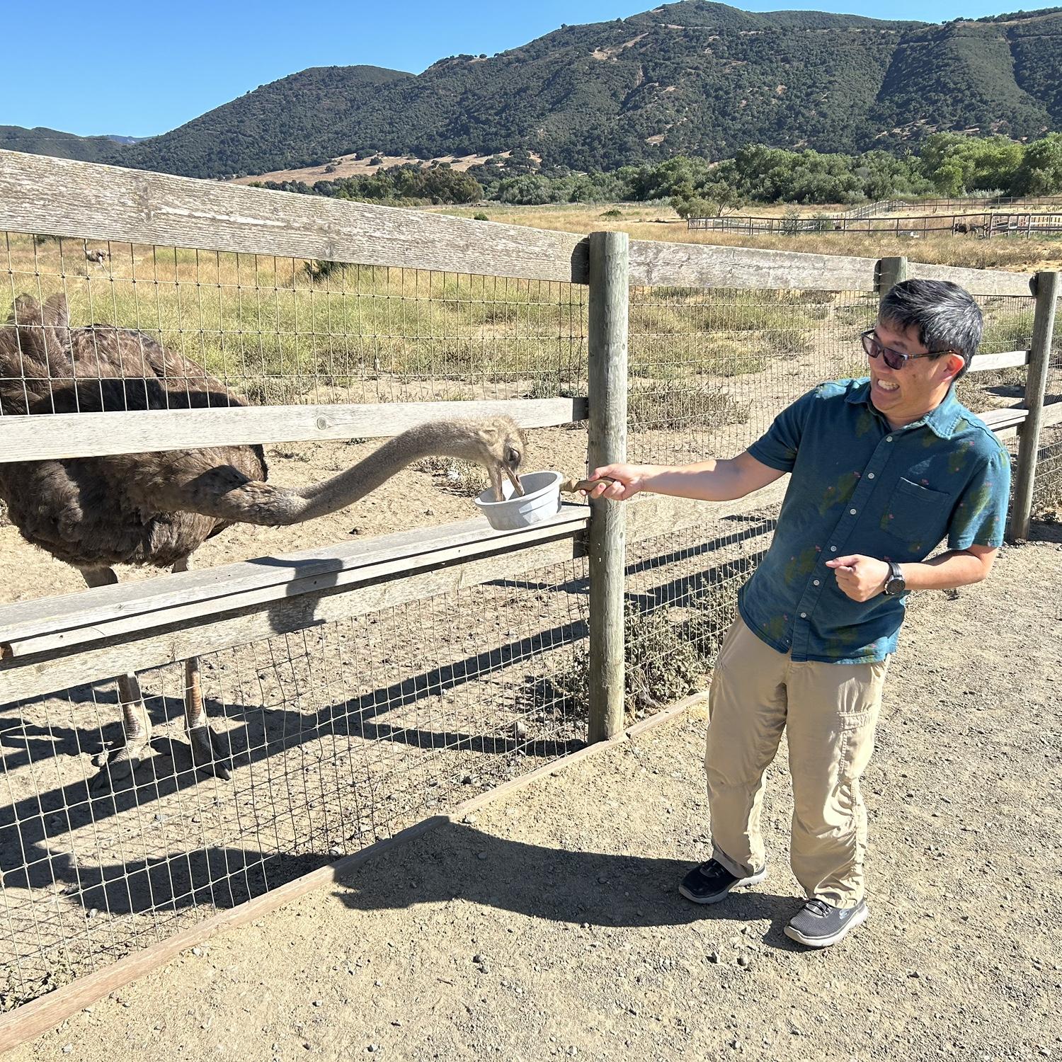 Ostrich Farm near Solvang (July 27, 2024)