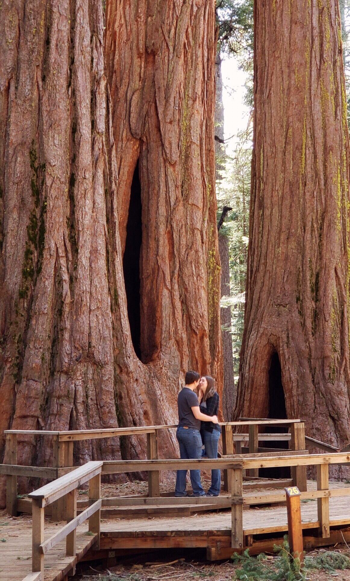 Exploring Calaveras Big Trees State Park in CA with Cade's dad.
