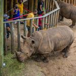 Brevard Zoo