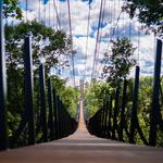 SkyBridge Michigan - Boyne Moutain