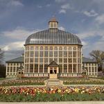 Rawlings Conservatory