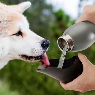 25 Oz. Dog Water Bottle