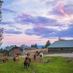 Bull Hill Guest Ranch