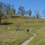 Mount Pisgah