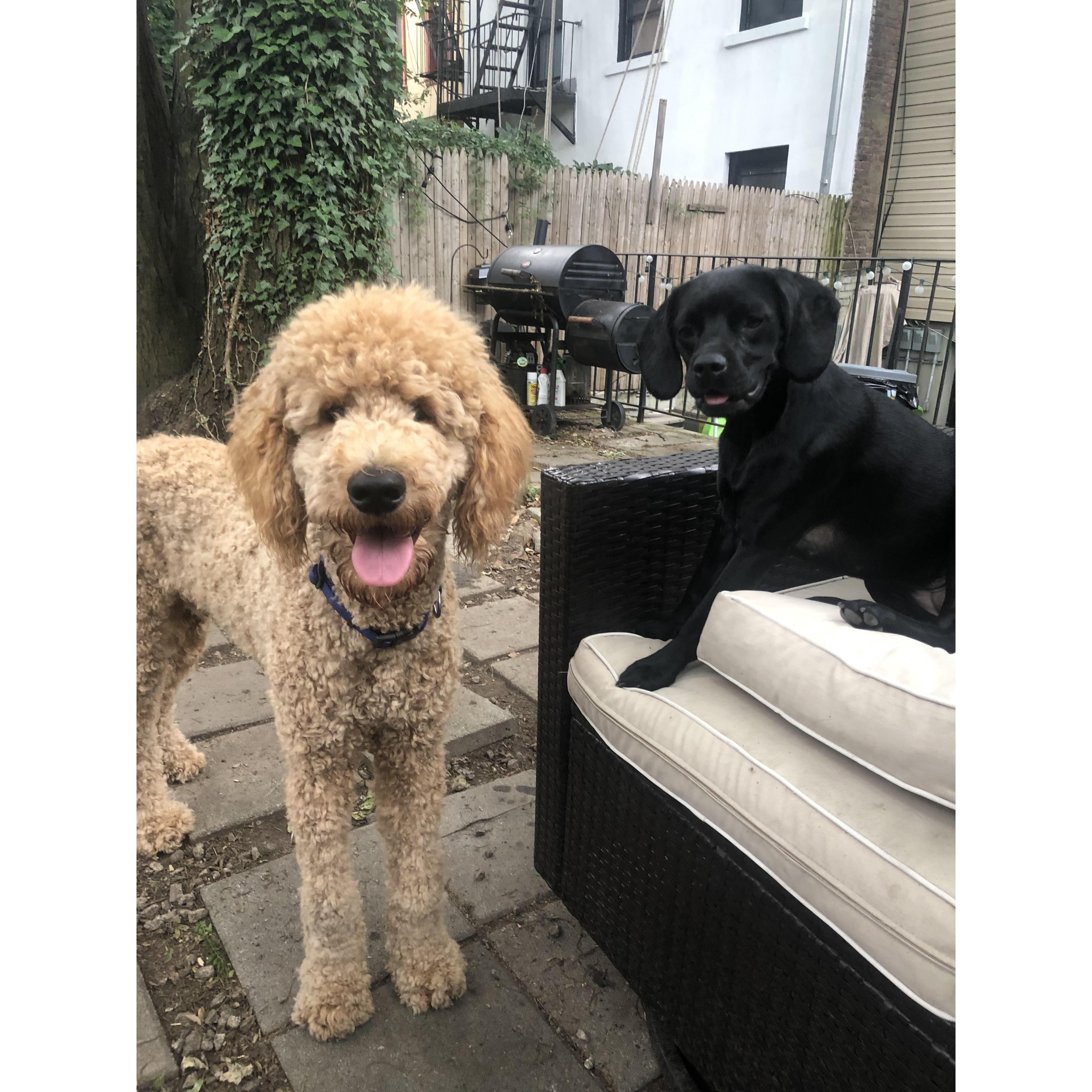 Bigs and her boyfriend, Moose.