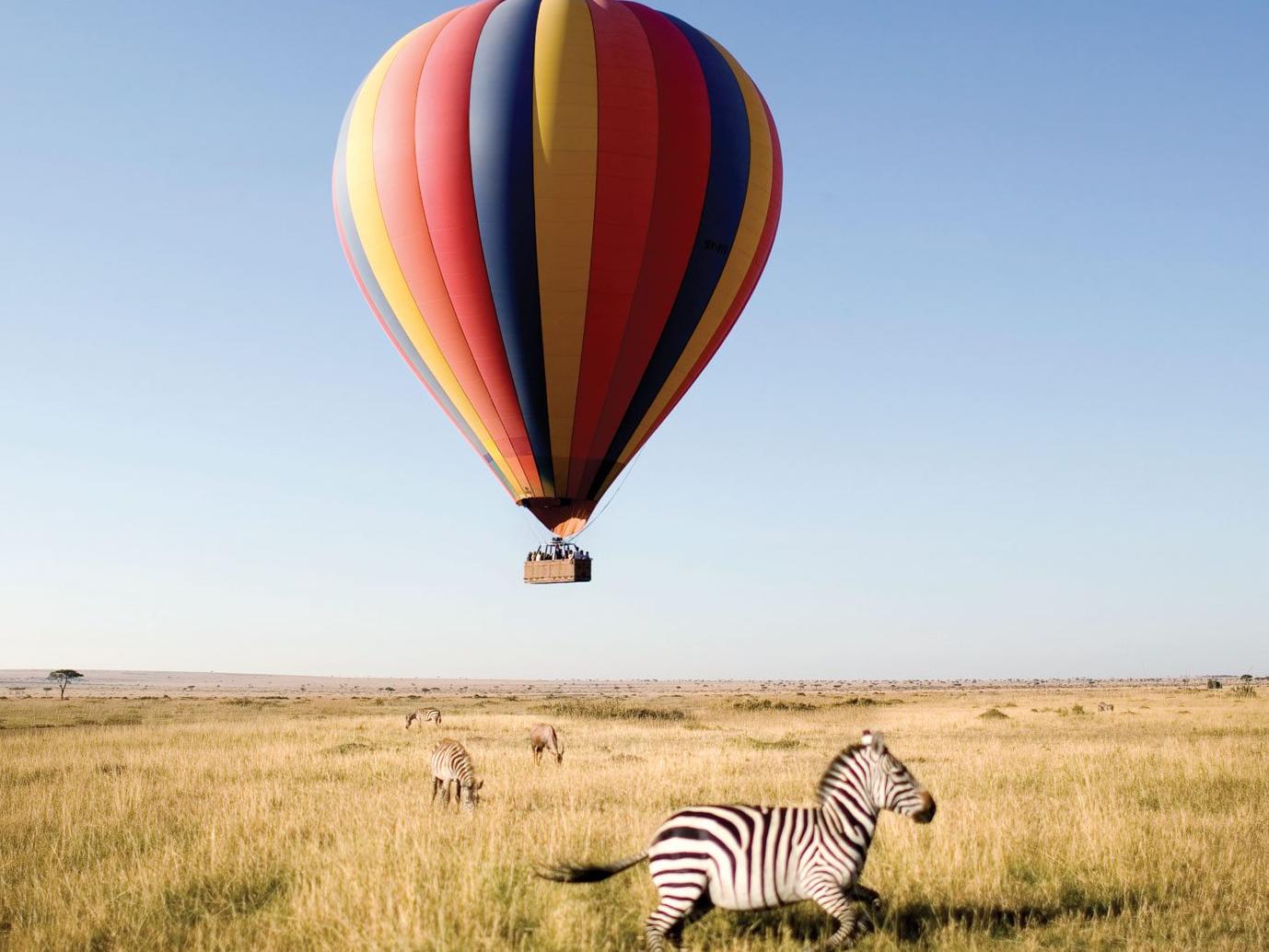 Honeymoon: Hot Air Balloon Safari
