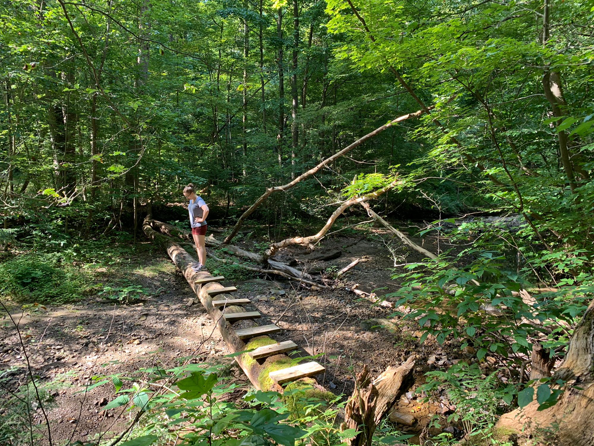 Kaitlin doesn't know it yet - but she's about to get proposed to! I asked her while on a hike on the "Bridle" Trail in Chardon, OH. (August 16, 2019)