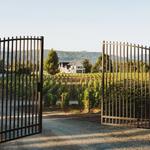 Cannon Estate Winery