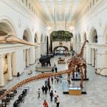 Field Museum