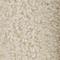 Travertine Beige