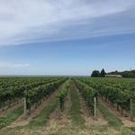 Konzelmann Estate Winery