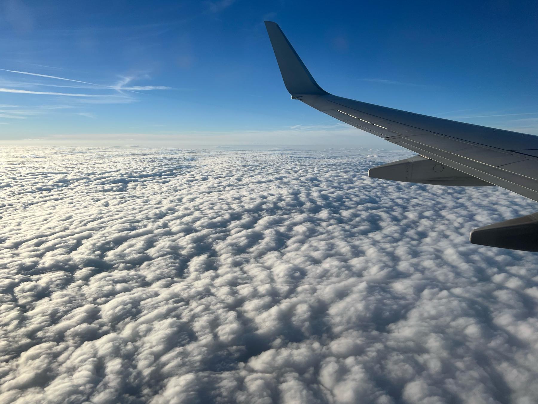 The Wedding Website of shannon lockhart and Joseph McDole