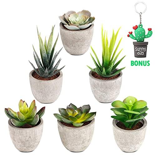 Artificial Succulent Plants Potted, Set of 6 Mini Artificial Plants with Pots Assorted Decorative Faux Succulents in Pots for Office Wedding Home Decoration Ultra Realistic Design