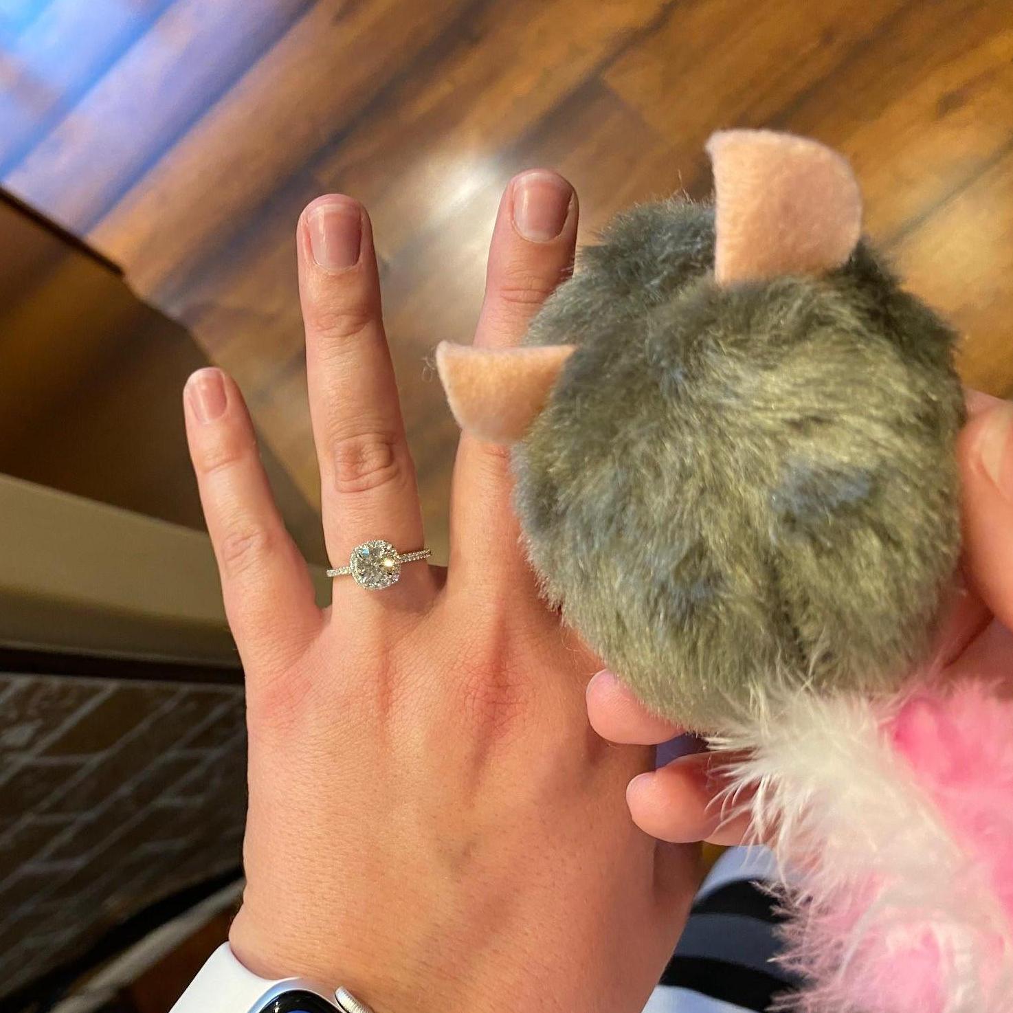 Cat toy Jonathan proposed with!
