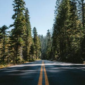 Honeymoon Roadtrip to Maine
