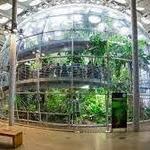 California Academy of Sciences