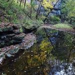 Floracliff Nature Sanctuary
