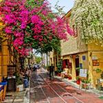Plaka Neighboorhood