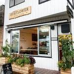 Sunflower Bakery Café