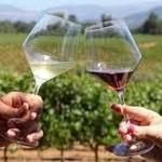 Winery
