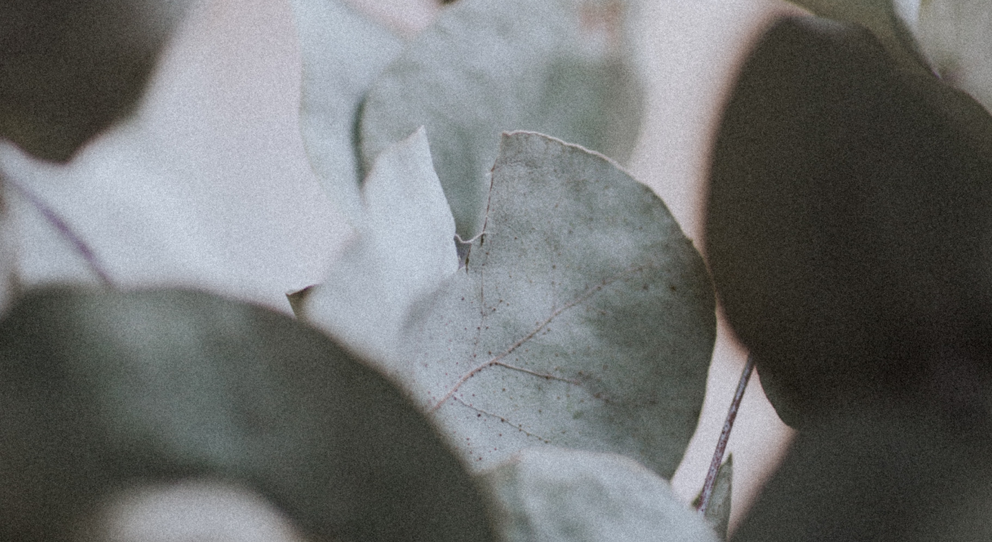 Footer image
