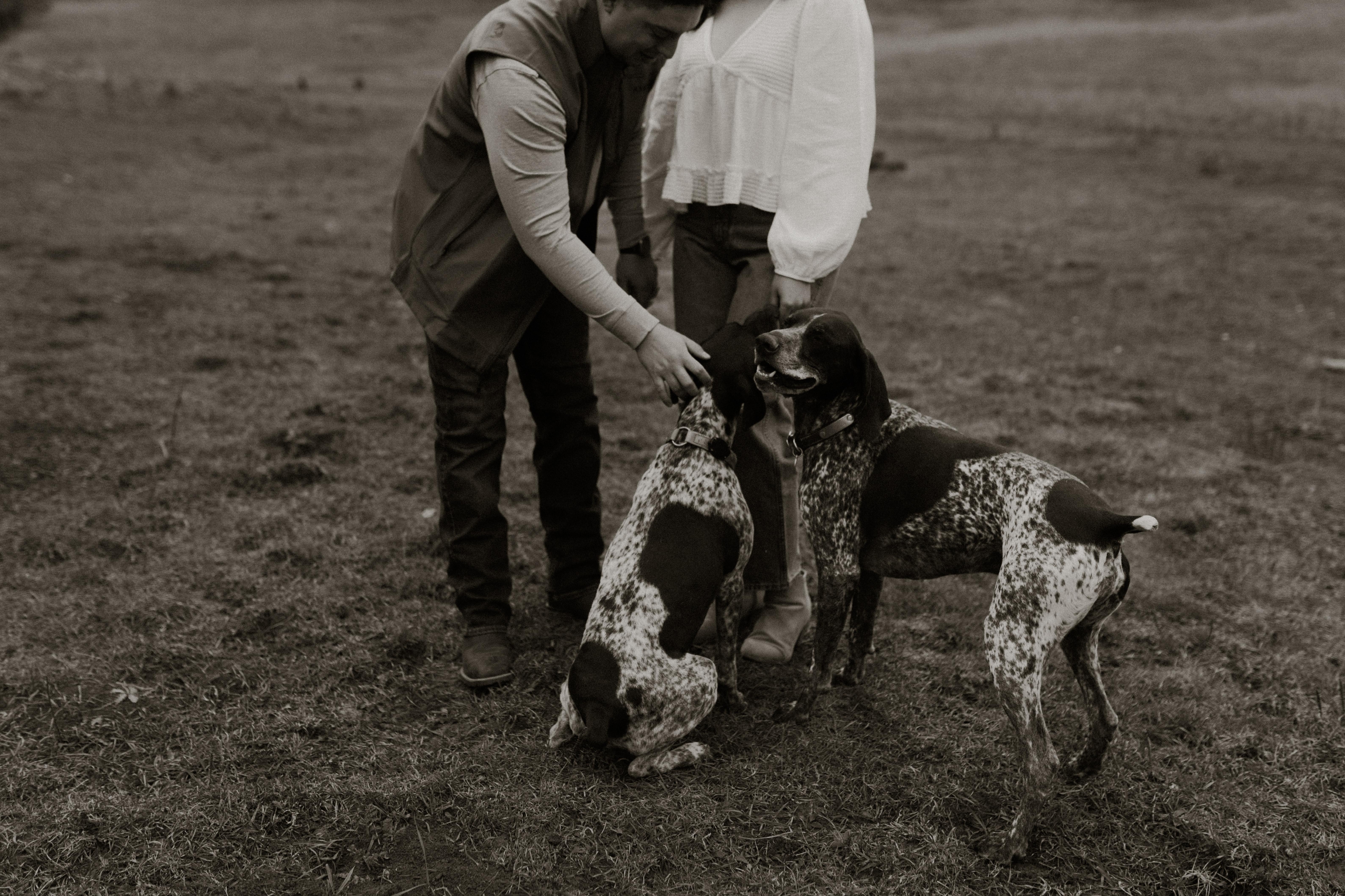 The Wedding Website of Morgan Greer and Louie Romero