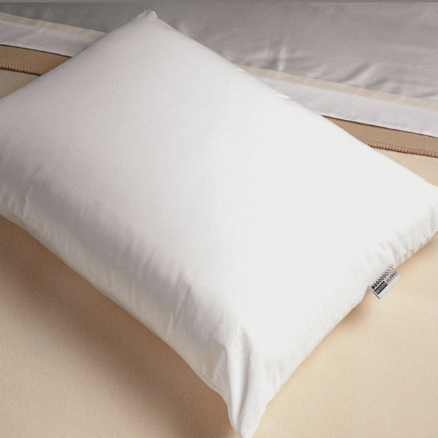 Allergen-Proof Pillows | DreamFill | Mission: Allergy| Standard