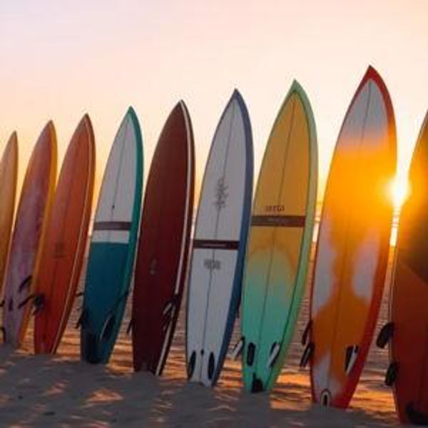 Surfboard Rentals (Honeymoon)