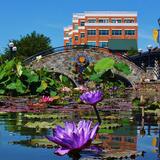 Downtown Frederick